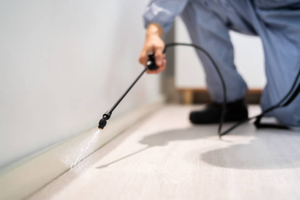 Licensed Pest Control service in Great Bend, NY - Show Me Pest Control
