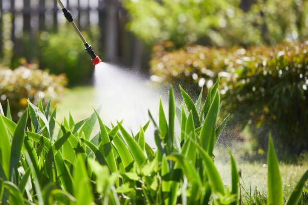 Bed Bug Chemical Protocol with IGR Technology