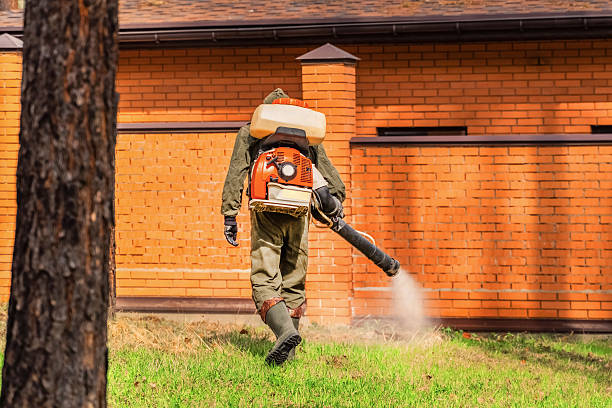 Bed Bug Clearance Verification and Documentation in Great Bend